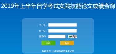 山東省2019年上半年自學(xué)考試實(shí)踐技能與論文成績(jī)查詢指南及技術(shù)支持說明